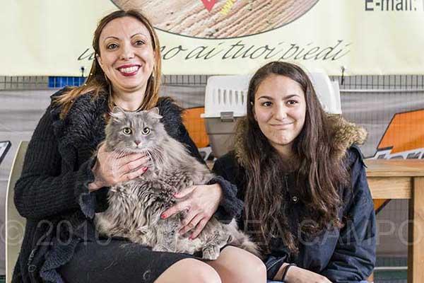 Gatti: una giornata da protagonisti al “Cat Show” (FOTOGALLERY)