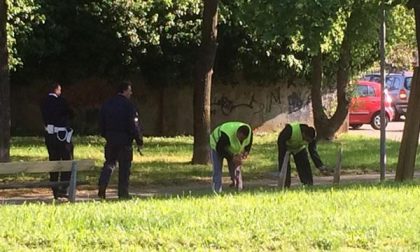 Giornate di recupero ambientale: tocca al Parco delle Betulle