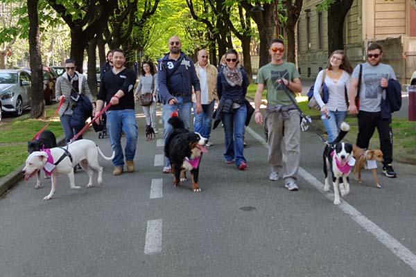 Passeggiata a sei zampe in città
