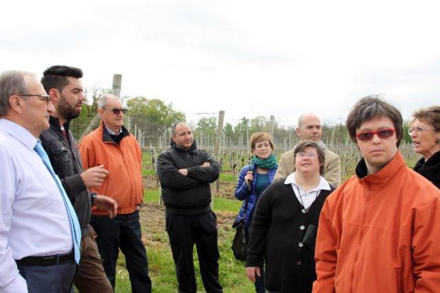 Ragazzi disabili custodi delle vigne a Ghemme