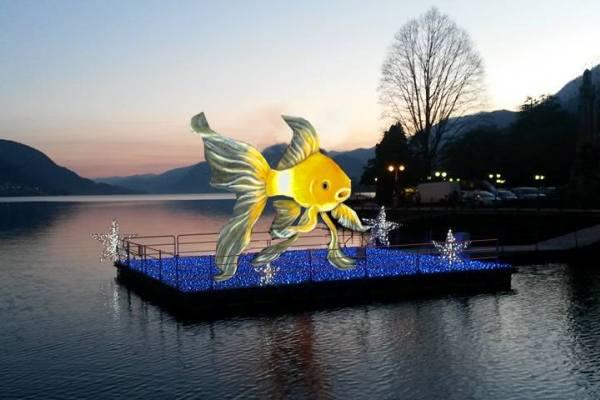 Ritrovamenti archeologici, Ventura a Borgo ed imprese in pedalò: quante notizie incredibili!