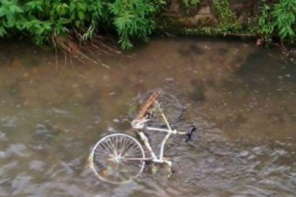 Caccia ai ladri-vandali con le telecamere