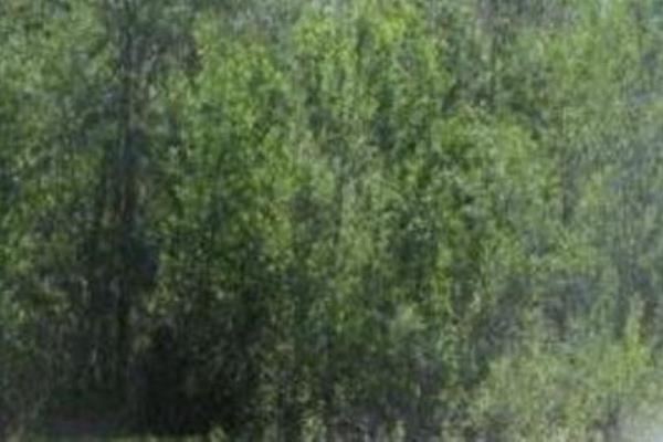 Giornate Europea dei Parchi anche a Grignasco