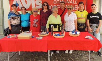 La Borgomanero delle associazioni in piazza
