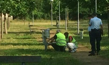 Detenuti al lavoro nel Parco del Terdoppio