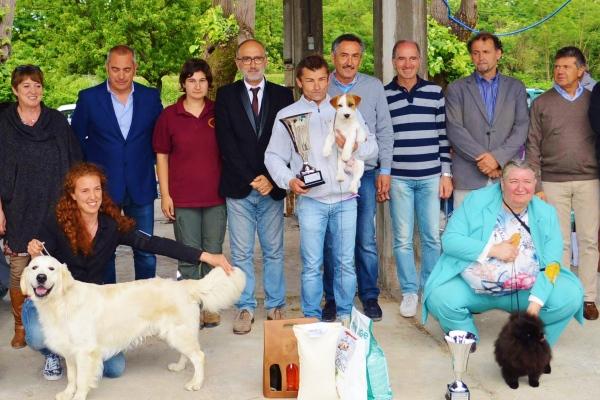 Ecco i cani più belli premiati a Borgomanero