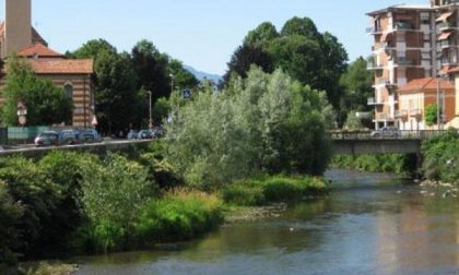 Estate in città? Ecco cosa riserva luglio a Borgomanero