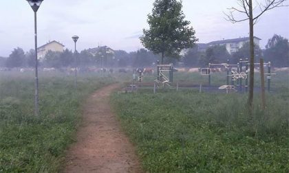 “Il nostro parco preso d’assalto da mucche e pecore: almeno ora l’erba non è più alta…”
