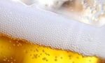 A Oleggio Castello si scaldano i motori per la festa della birra