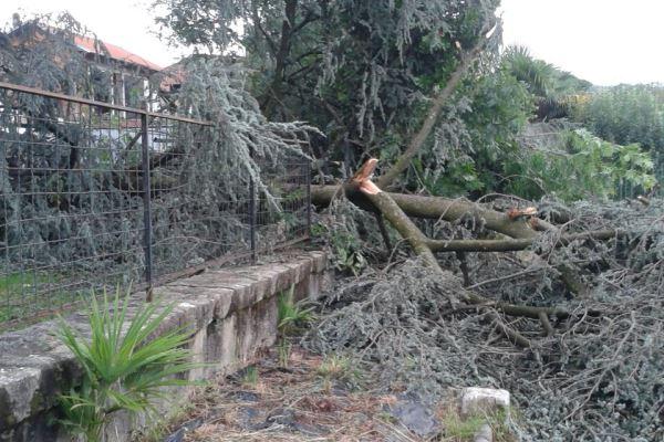 Maltempo nel Borgomanerese e in Bassa Valsesia
