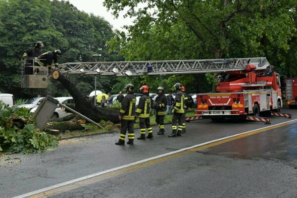 Platano cade lungo baluardo Quintino Sella per il maltempo