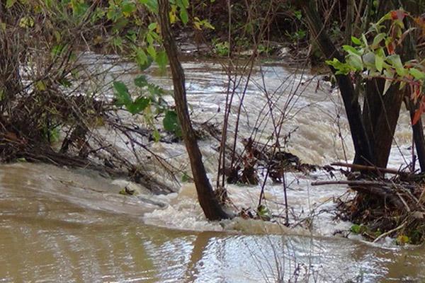 Acque torbide nell’Agogna, scatta l’allarme inquinamento