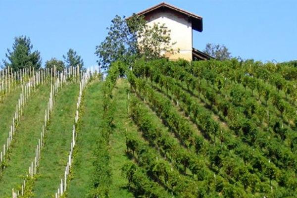 Cureggio premia gli scatti più belli della Collina Novarese