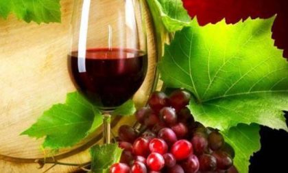 I viticoltori "tifano" per il gran caldo