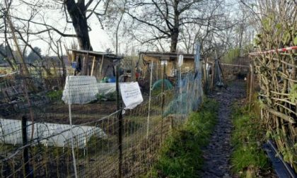 Il racconto di Guerrini, amico di Sansarella:  "Così Gennari morì nella mia baracca"
