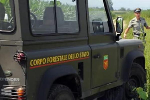 Invorio: la Forestale sequestra due edifici abusivi