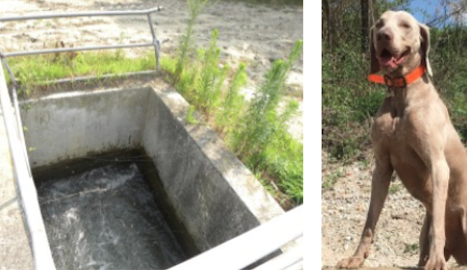 La “vasca della morte” colpisce ancora