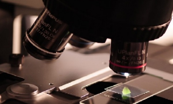 Nuove risorse per linnovazione e la ricerca