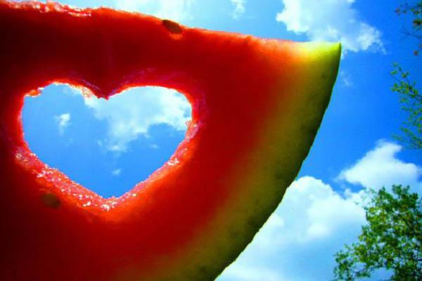 Ad agosto pienone negli agriturismo di Novara e Vco