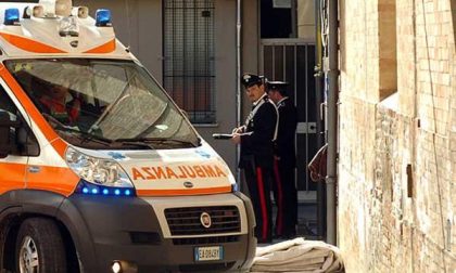 Con un morso recide l'orecchio di un animatore turistico