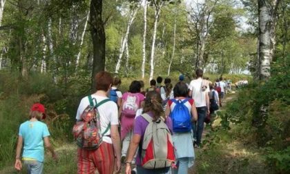 Corsa campestre, cavalli e tiro con l’arco per la festa della Baraggia