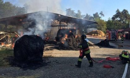 Incendio in una scuderia di Divignano: cavalli in salvo