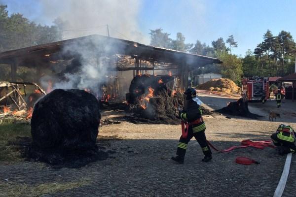 Incendio in una scuderia di Divignano: cavalli in salvo