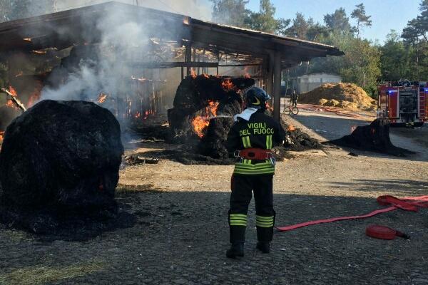 Incendio in una scuderia di Divignano: cavalli in salvo