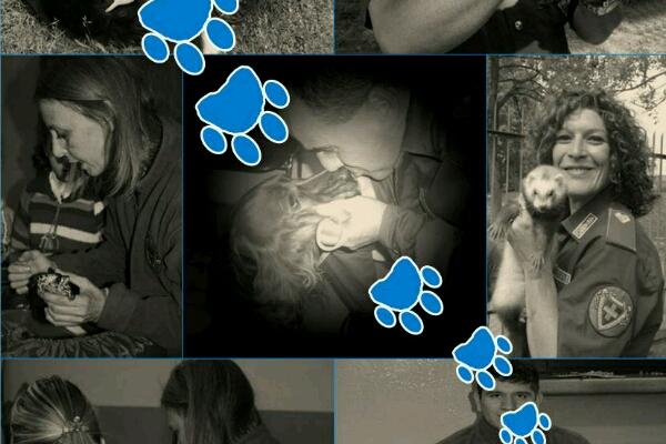 “Non scaricare il tuo cane, ricaricalo d’amore” Lo slogan anti-abbandono dell’Anpana.