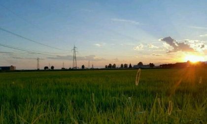 “Novara e le sue risaie” in immagini