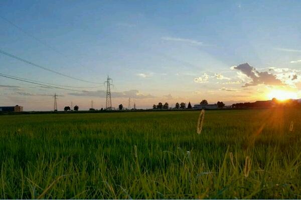 “Novara e le sue risaie” in immagini