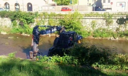 Ruspe nell'Agogna, è cominciata l'operazione pulizia