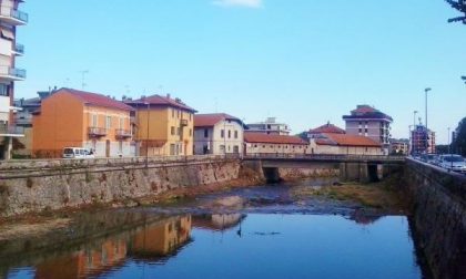 Topi nell'Agogna, l'Amministrazione corre ai ripari