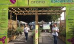 Successo ieri per Trifolia, oggi si replica