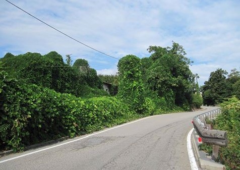 Via i rovi: marciapiede per San Carlo di nuovo accessibile