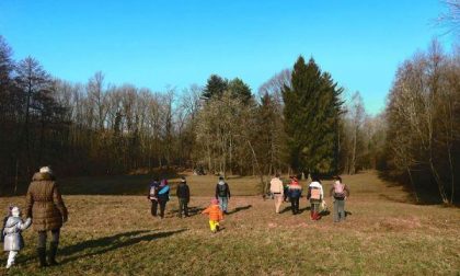 Apre i battenti l’asilo nel bosco di Invorio