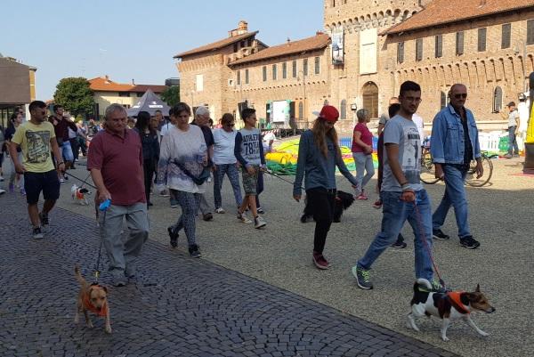 Stracanina, a Galliate la carica delle… 480 zampe (FOTOGALLERY)
