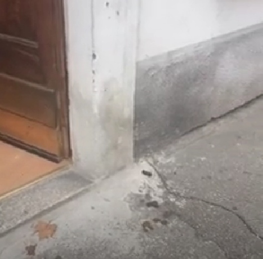 Basta “trappole” con le deiezioni canine di fronte all’Unione ciechi di Novara