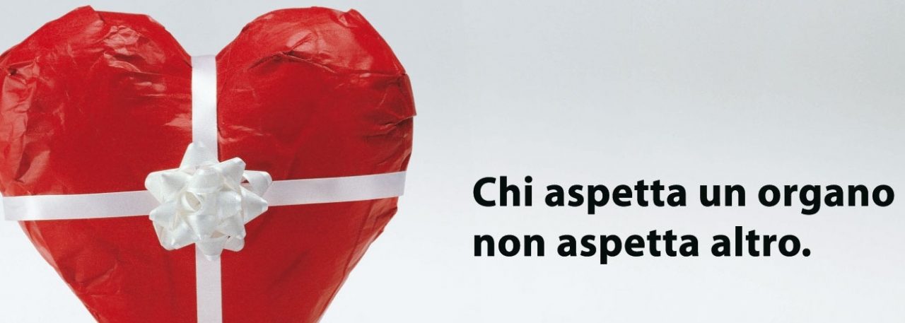 Donazione di organi: la scelta in Comune