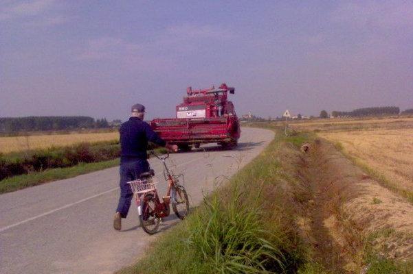 Lavoro, l’agricoltura non sente la crisi