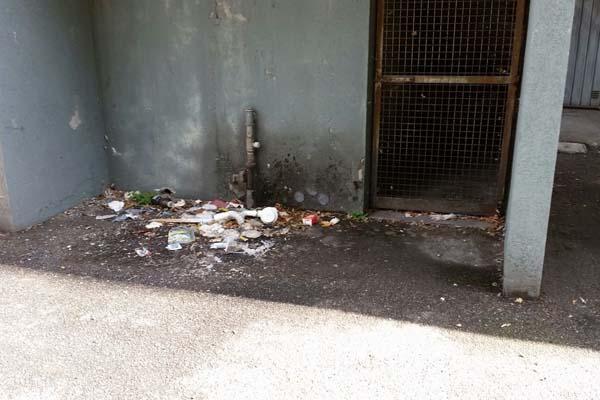 Questione sicurezza e degrado in via Calderara