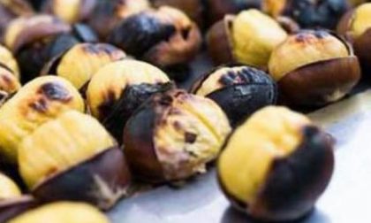 Ritorna "Profumi e sapori d'autunno" e compie otto anni