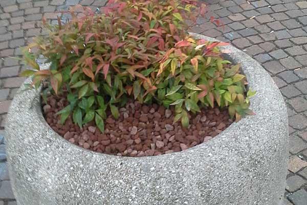 Sistemate le fioriere del centro