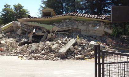 Acquisto di prodotti alimentari dalle zone terremotate: attenzione alle truffe