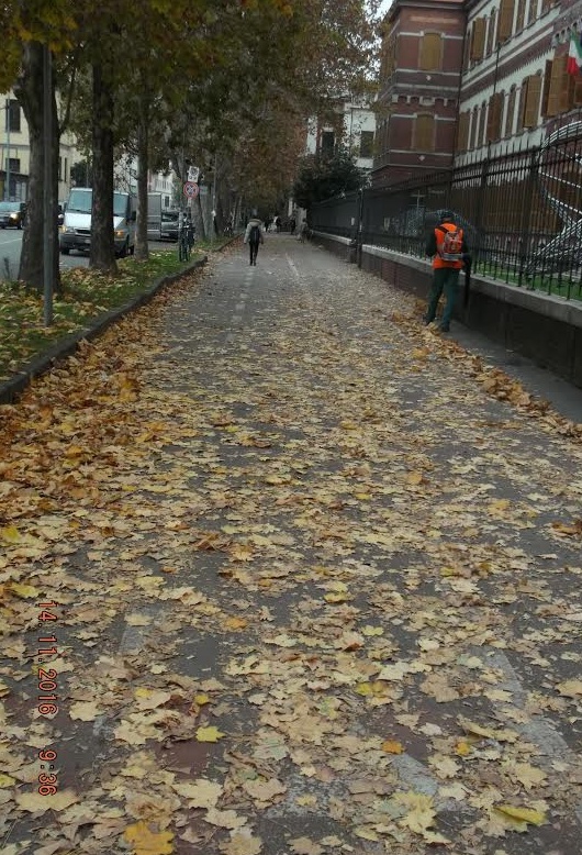 Assa: 5 mila tonnellate di foglie raccolte in città