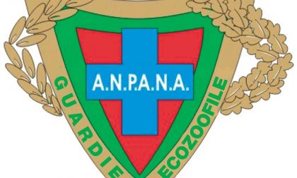 L'Anpana Novara raccoglie cibo per gli animali delle zone terremotate
