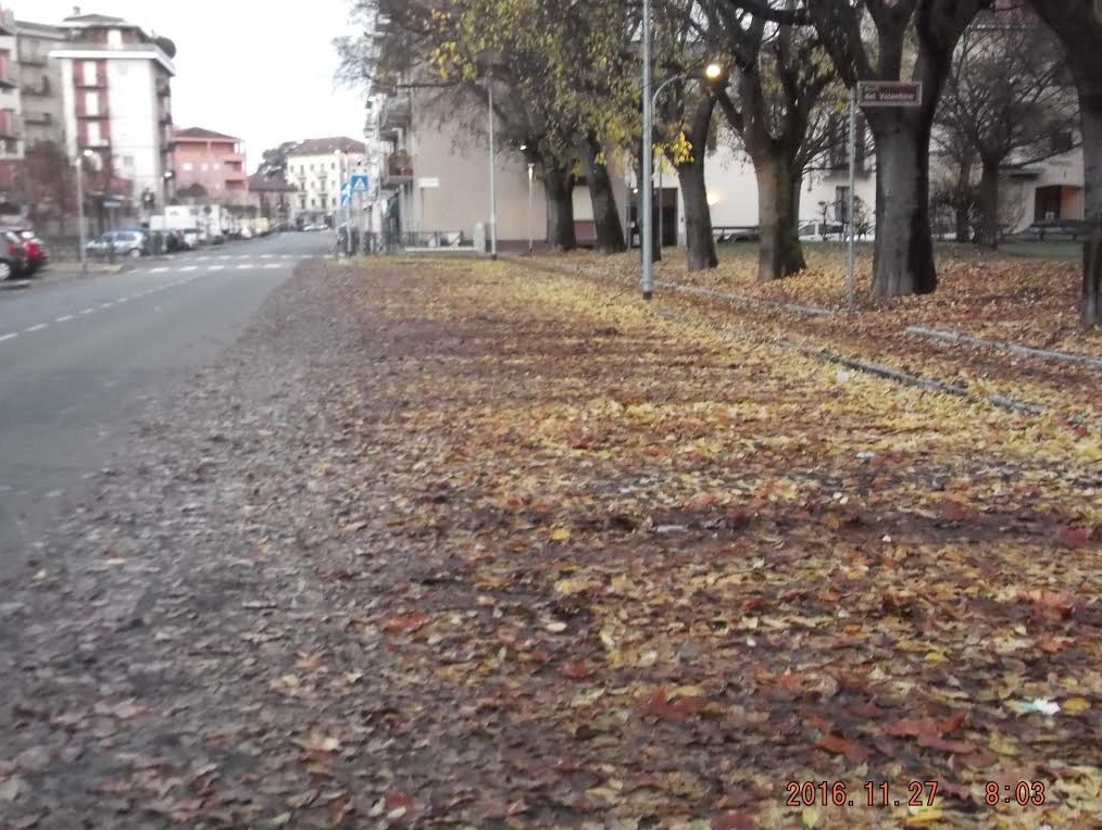 Raccolti da Assa oltre 25 mila kg di foglie a Novara