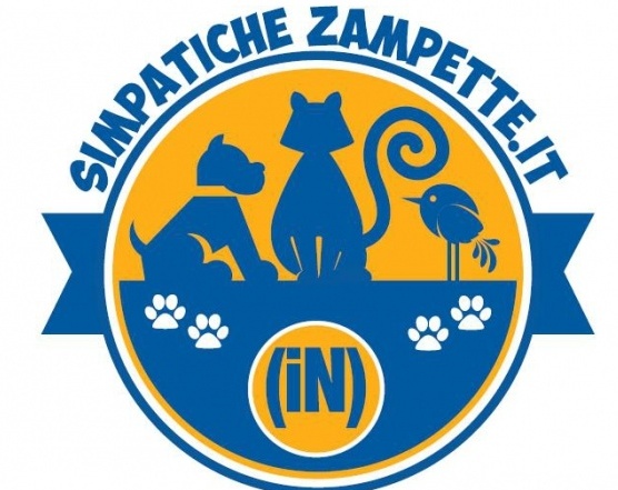 Simpatiche Zampette: su Novara Oggi il tagliando da 3 punti!