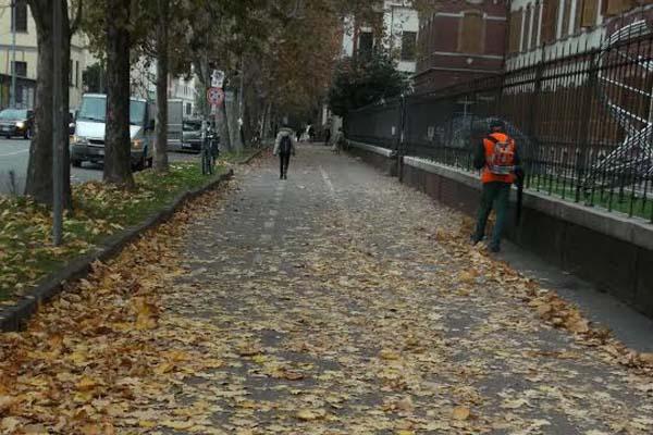 Assa: tonnellate di foglie raccolte in città