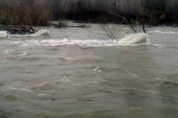Cresce il livello del Sesia (Video)